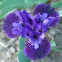 UNFOLDING PARADOX